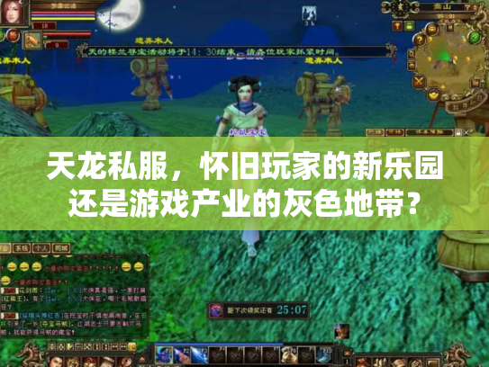 天龙私服，怀旧玩家的新乐园还是游戏产业的灰色地带？