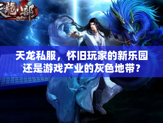 天龙私服，怀旧玩家的新乐园还是游戏产业的灰色地带？