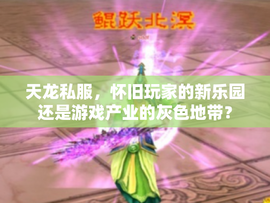 天龙私服，怀旧玩家的新乐园还是游戏产业的灰色地带？