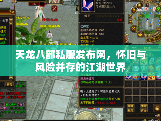 天龙八部私服发布网，怀旧与风险并存的江湖世界