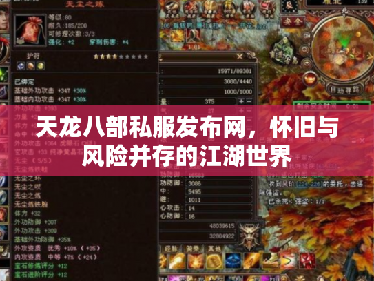 天龙八部私服发布网，怀旧与风险并存的江湖世界