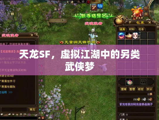天龙SF，虚拟江湖中的另类武侠梦