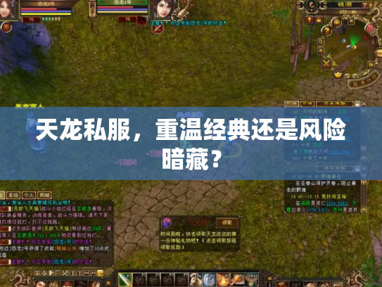 天龙私服，重温经典还是风险暗藏？