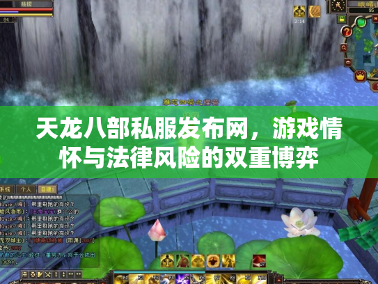 天龙八部私服发布网，游戏情怀与法律风险的双重博弈
