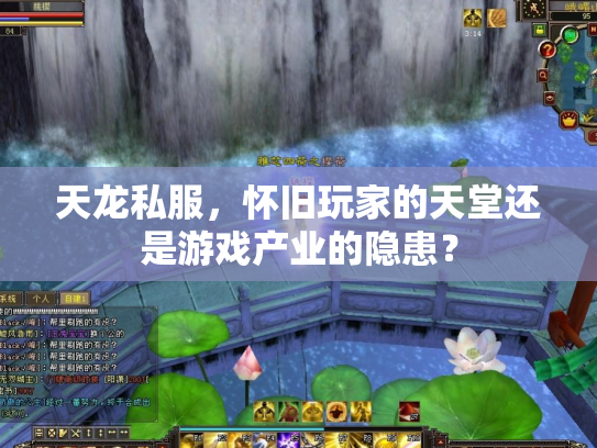 天龙私服，怀旧玩家的天堂还是游戏产业的隐患？