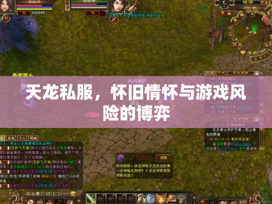 天龙私服，怀旧情怀与游戏风险的博弈