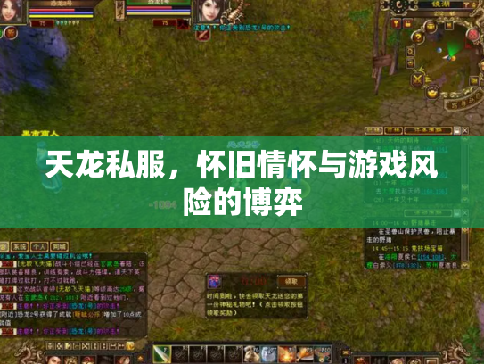 天龙私服，怀旧情怀与游戏风险的博弈