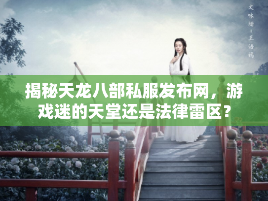 揭秘天龙八部私服发布网，游戏迷的天堂还是法律雷区？