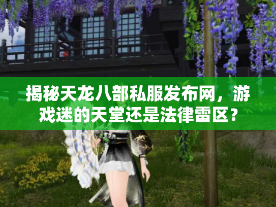 揭秘天龙八部私服发布网，游戏迷的天堂还是法律雷区？