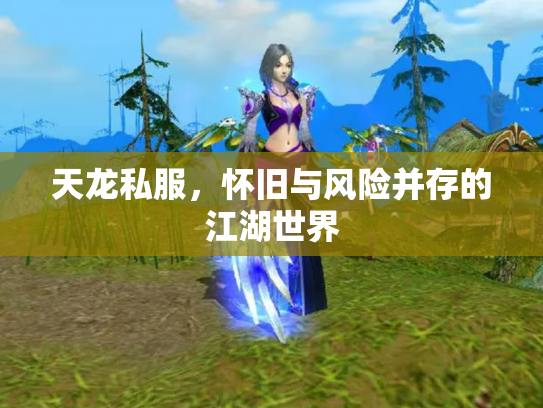 天龙私服，怀旧与风险并存的江湖世界