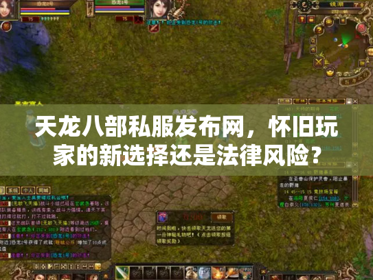 天龙八部私服发布网，怀旧玩家的新选择还是法律风险？