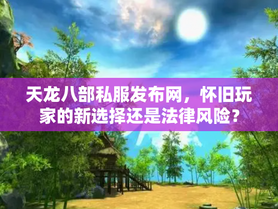 天龙八部私服发布网，怀旧玩家的新选择还是法律风险？
