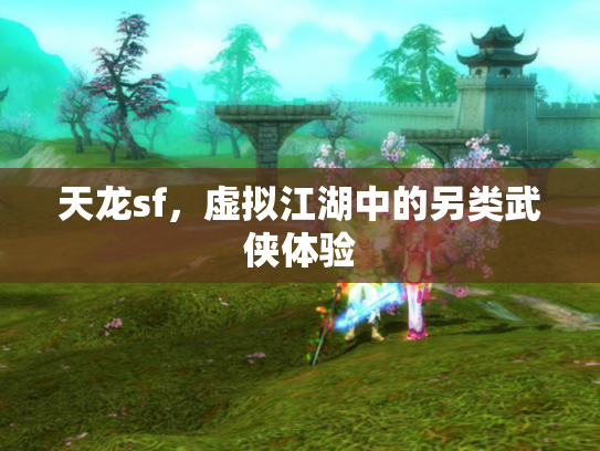 天龙sf，虚拟江湖中的另类武侠体验