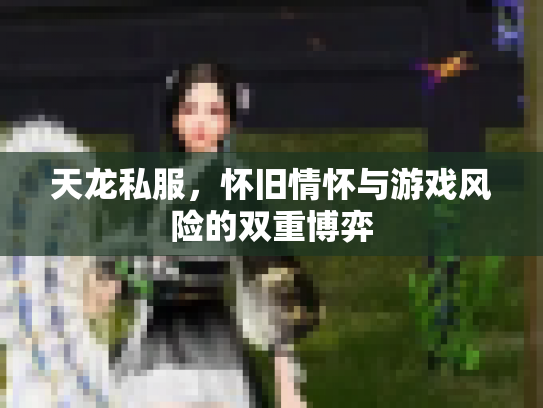 天龙私服，怀旧情怀与游戏风险的双重博弈