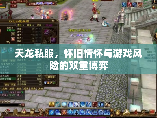 天龙私服，怀旧情怀与游戏风险的双重博弈