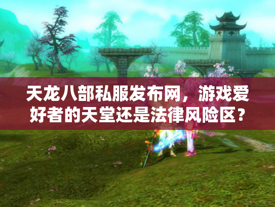 天龙八部私服发布网，游戏爱好者的天堂还是法律风险区？