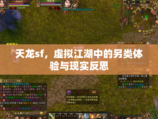 天龙sf，虚拟江湖中的另类体验与现实反思