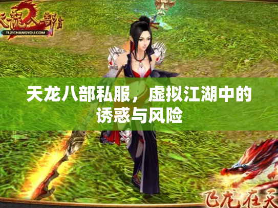 天龙八部私服，虚拟江湖中的诱惑与风险