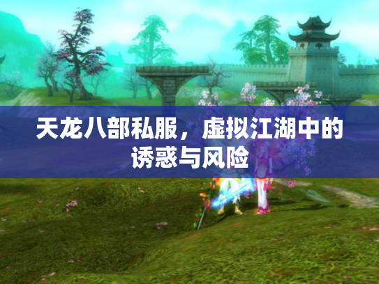 天龙八部私服，虚拟江湖中的诱惑与风险