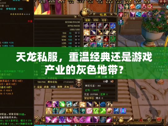 天龙私服，重温经典还是游戏产业的灰色地带？
