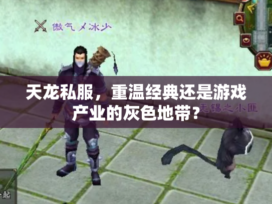 天龙私服，重温经典还是游戏产业的灰色地带？