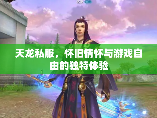 天龙私服，怀旧情怀与游戏自由的独特体验