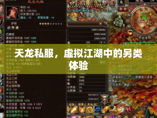 天龙私服，虚拟江湖中的另类体验