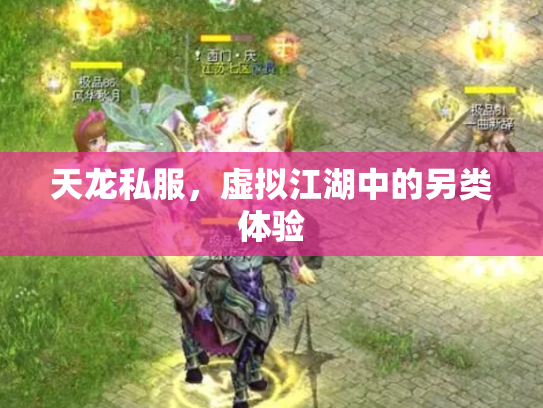 天龙私服，虚拟江湖中的另类体验