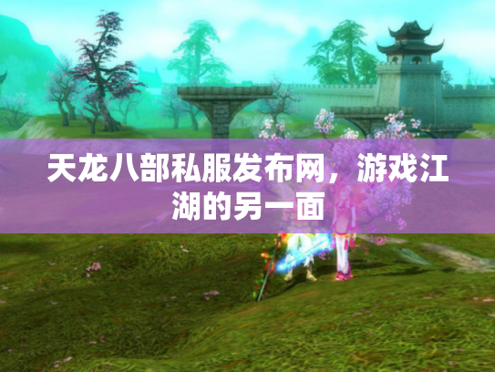 天龙八部私服发布网，游戏江湖的另一面