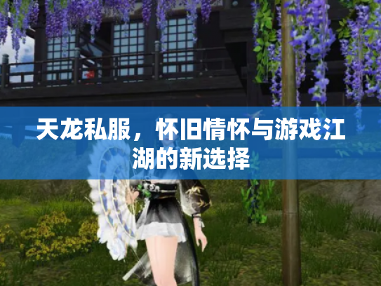 天龙私服，怀旧情怀与游戏江湖的新选择