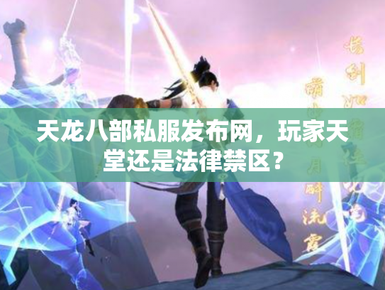 天龙八部私服发布网，玩家天堂还是法律禁区？