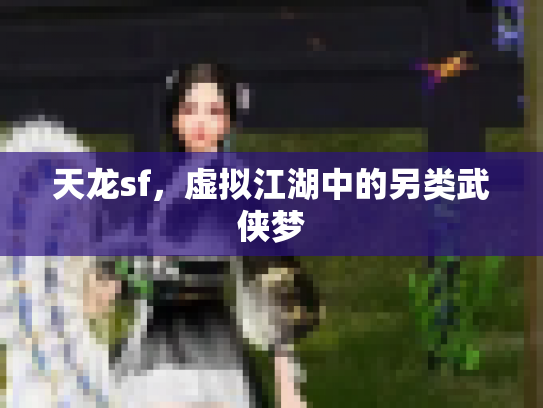 天龙sf，虚拟江湖中的另类武侠梦