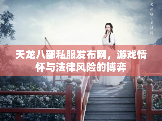 天龙八部私服发布网，游戏情怀与法律风险的博弈