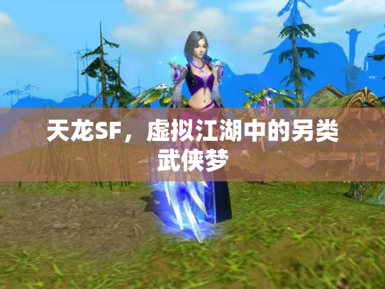 天龙SF，虚拟江湖中的另类武侠梦
