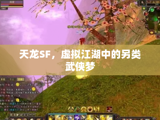 天龙SF，虚拟江湖中的另类武侠梦