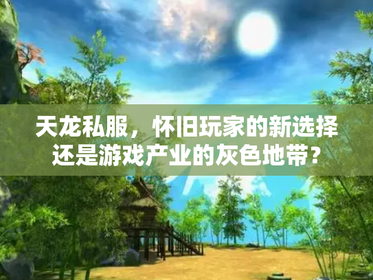 天龙私服，怀旧玩家的新选择还是游戏产业的灰色地带？
