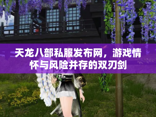 天龙八部私服发布网，游戏情怀与风险并存的双刃剑