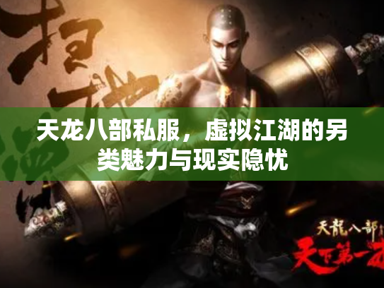 天龙八部私服，虚拟江湖的另类魅力与现实隐忧