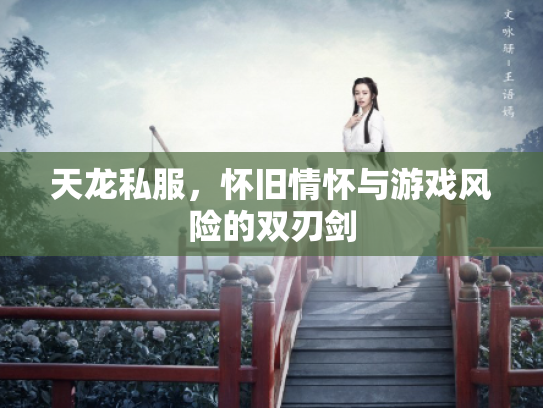 天龙私服，怀旧情怀与游戏风险的双刃剑