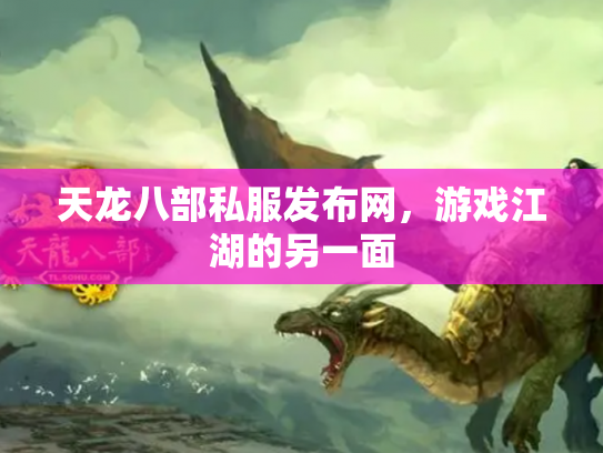 天龙八部私服发布网，游戏江湖的另一面