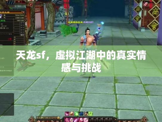 天龙sf，虚拟江湖中的真实情感与挑战