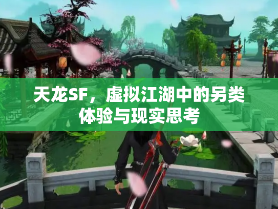 天龙SF，虚拟江湖中的另类体验与现实思考