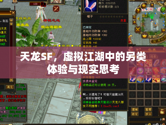 天龙SF，虚拟江湖中的另类体验与现实思考