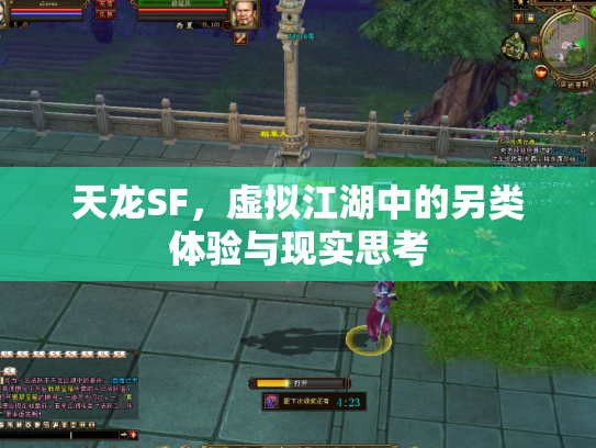 天龙SF，虚拟江湖中的另类体验与现实思考