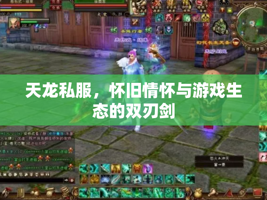 天龙私服，怀旧情怀与游戏生态的双刃剑