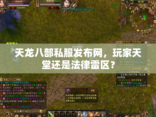 天龙八部私服发布网，玩家天堂还是法律雷区？