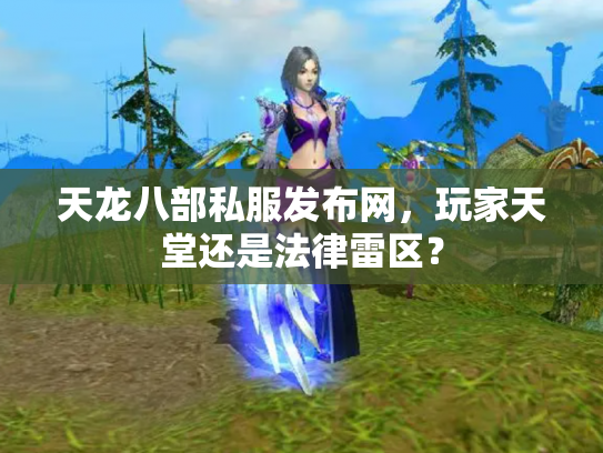 天龙八部私服发布网，玩家天堂还是法律雷区？