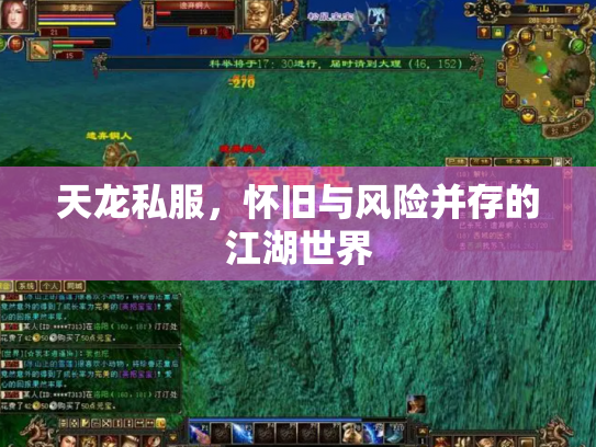 天龙私服，怀旧与风险并存的江湖世界