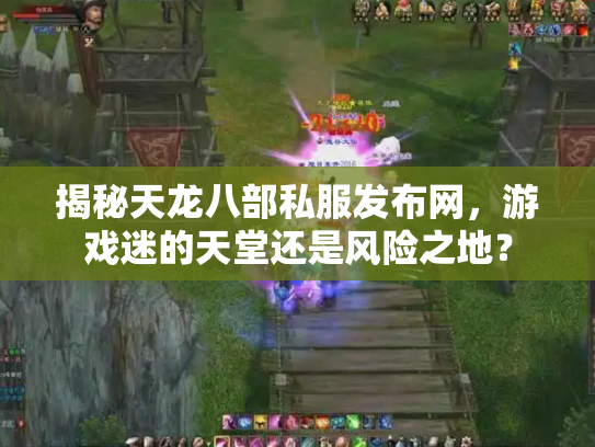 揭秘天龙八部私服发布网，游戏迷的天堂还是风险之地？