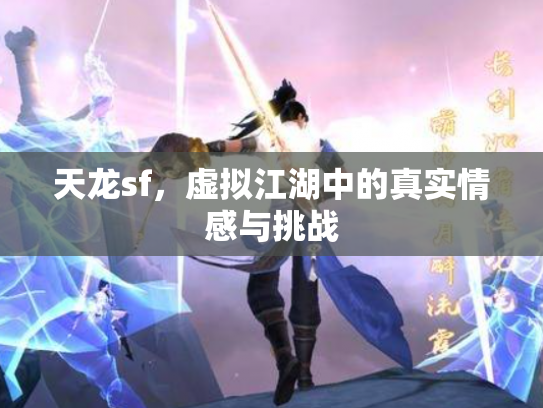 天龙sf，虚拟江湖中的真实情感与挑战